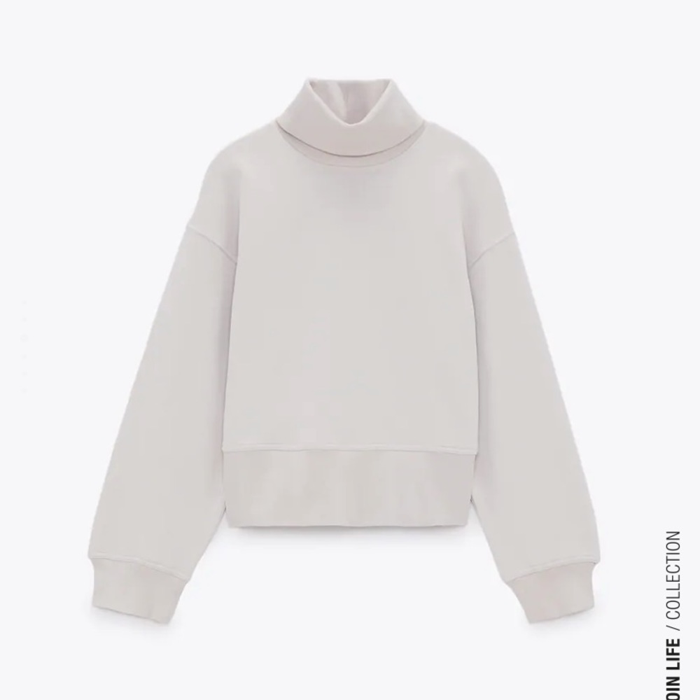 Zara Turtleneck Sweatshirt